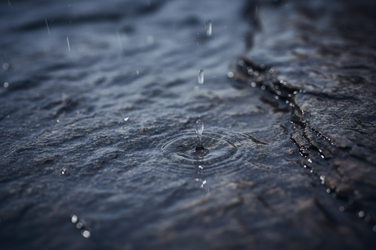 How to Find Your Rain Scent